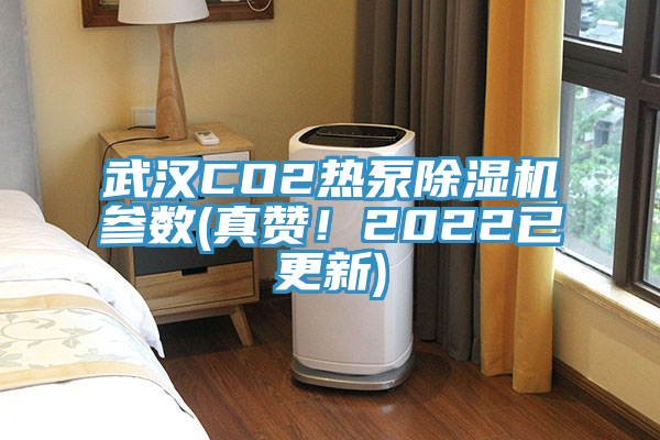 武漢CO2熱泵草莓视频污污污污參數(真讚！2022已更新)