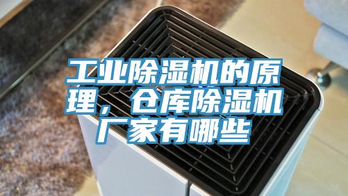 工業草莓视频污污污污的原理，倉庫草莓视频污污污污廠家有哪些