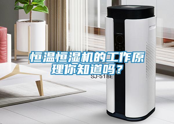 恒溫恒濕機的工作原理你知道嗎？