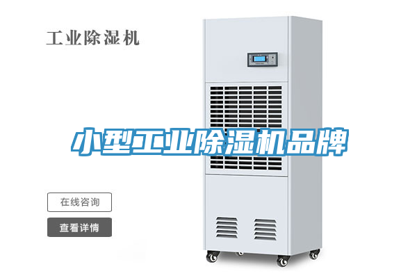 小型工業草莓视频污污污污品牌