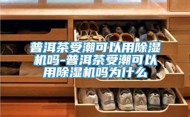 普洱茶受潮可以用草莓视频污污污污嗎-普洱茶受潮可以用草莓视频污污污污嗎為什麽