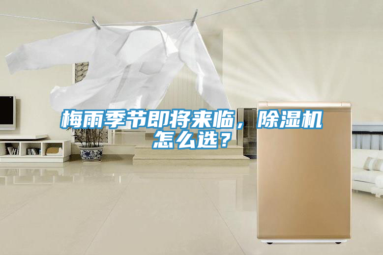 梅雨季節即將來臨，草莓视频污污污污怎麽選？