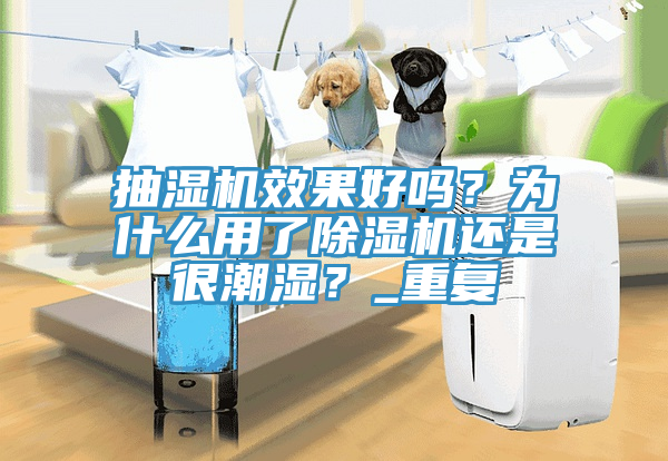 抽濕機效果好嗎？為什麽用了草莓视频污污污污還是很潮濕？_重複
