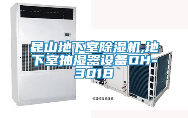 昆山地下室草莓视频污污污污,地下室抽濕器設備DH-301B