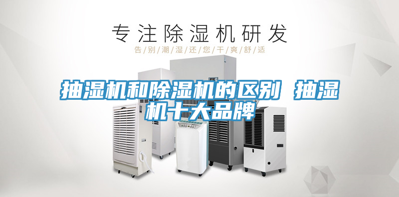 抽濕機和草莓视频污污污污的區別 抽濕機十大品牌