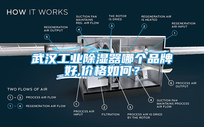 武漢工業除濕器哪個品牌好,價格如何？
