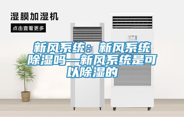 新風係統：新風係統除濕嗎—新風係統是可以除濕的