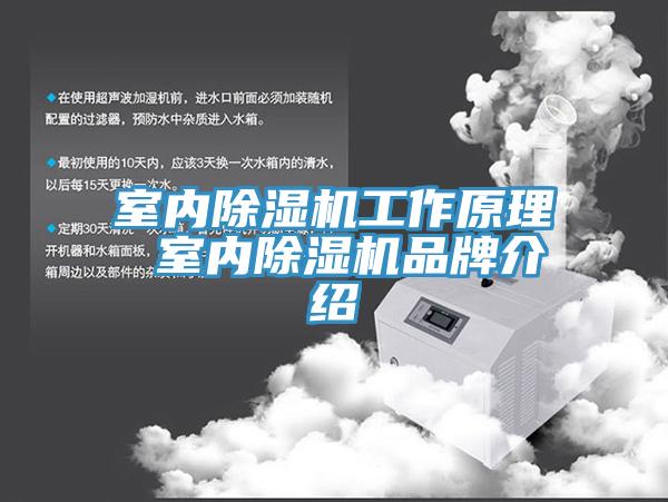 室內草莓视频污污污污工作原理 室內草莓视频污污污污品牌介紹