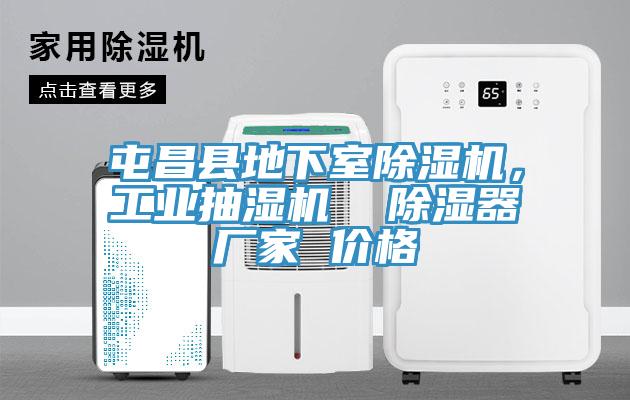 屯昌縣地下室草莓视频污污污污，工業抽濕機  除濕器廠家 價格