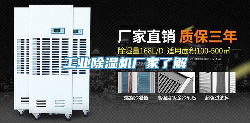 工業草莓视频污污污污廠家了解