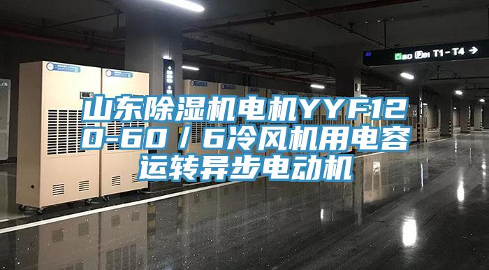 山東草莓视频污污污污電機YYF120-60／6冷風機用電容運轉異步電動機