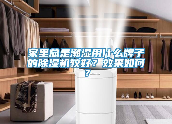 家裏總是潮濕用什麽牌子的草莓视频污污污污較好？效果如何？