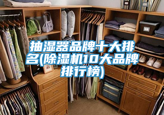 抽濕器品牌十大排名(草莓视频污污污污10大品牌排行榜)