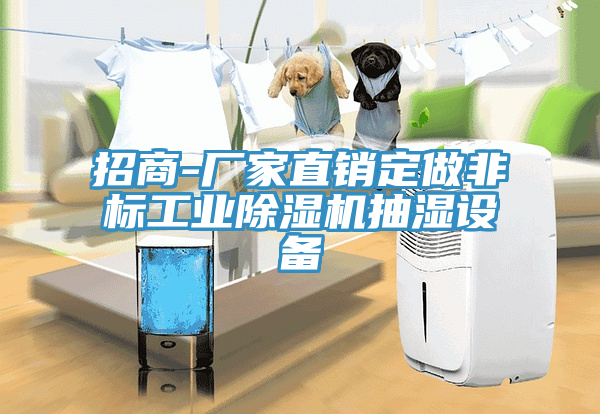 招商-廠家直銷定做非標工業草莓视频污污污污抽濕設備
