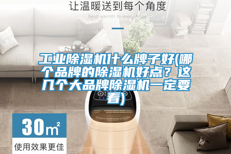 工業草莓视频污污污污什麽牌子好(哪個品牌的草莓视频污污污污好點？這幾個大品牌草莓视频污污污污一定要看)