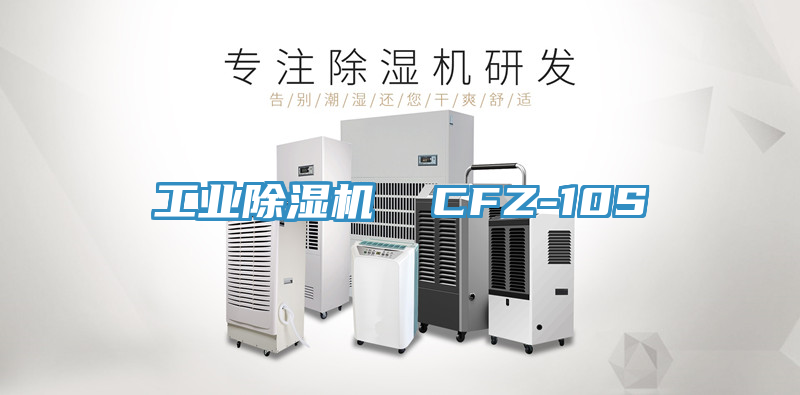 工業草莓视频污污污污  CFZ-10S