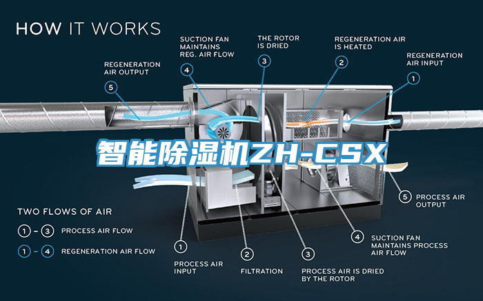 智能草莓视频污污污污ZH-CSX