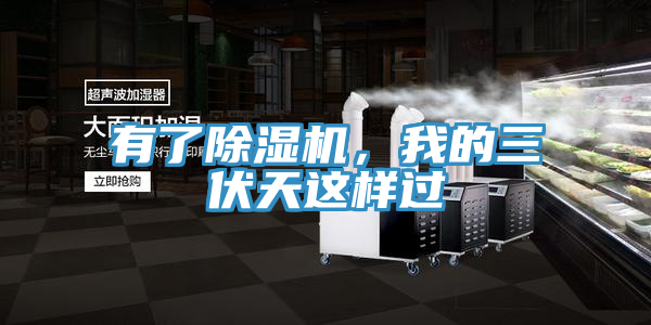 有了草莓视频污污污污，我的三伏天這樣過