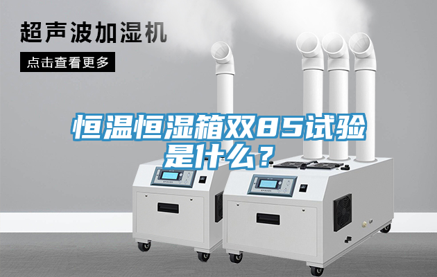恒溫恒濕箱雙85試驗是什麽？