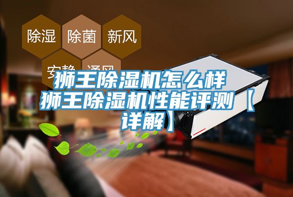 獅王草莓视频污污污污怎麽樣 獅王草莓视频污污污污性能評測【詳解】
