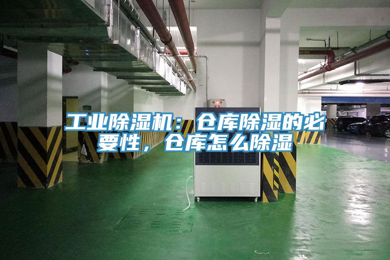 工業草莓视频污污污污：倉庫除濕的必要性，倉庫怎麽除濕