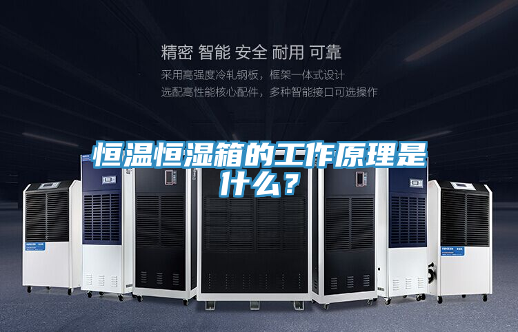 恒溫恒濕箱的工作原理是什麽？
