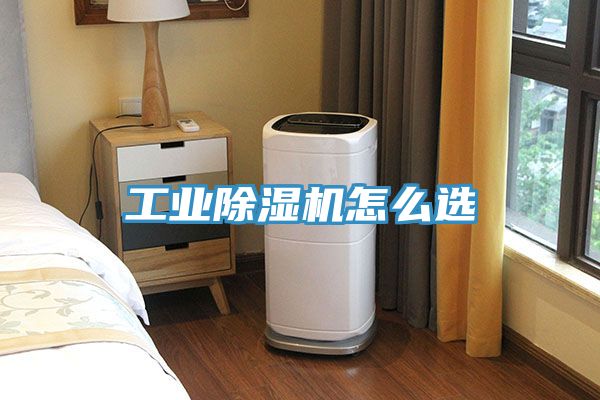 工業草莓视频污污污污怎麽選