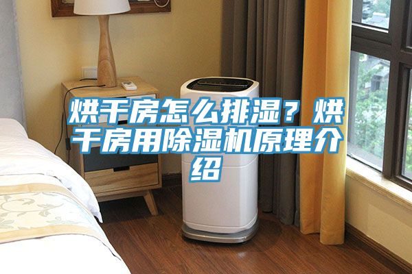 烘幹房怎麽排濕？烘幹房用草莓视频污污污污原理介紹