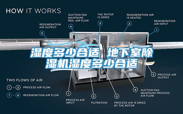 濕度多少合適 地下室草莓视频污污污污濕度多少合適
