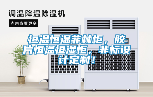 恒溫恒濕菲林櫃，膠片恒溫恒濕櫃，非標設計定製！