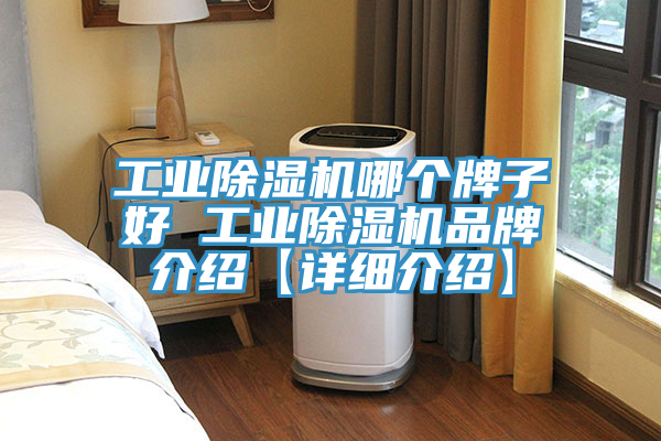 工業草莓视频污污污污哪個牌子好 工業草莓视频污污污污品牌介紹【詳細介紹】