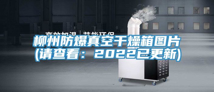 柳州防爆真空幹燥箱圖片(請查看：2022已更新)