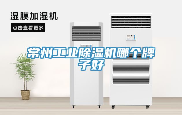 常州工業草莓视频污污污污哪個牌子好