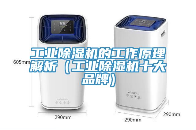 工業草莓视频污污污污的工作原理解析（工業草莓视频污污污污十大品牌）