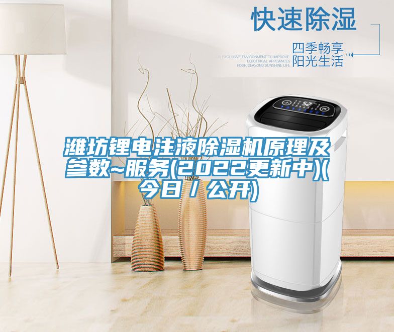 濰坊鋰電注液草莓视频污污污污原理及參數~服務(2022更新中)(今日／公開)