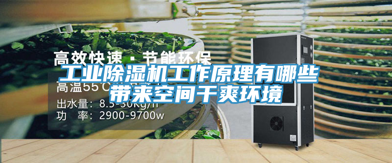 工業草莓视频污污污污工作原理有哪些 帶來空間幹爽環境