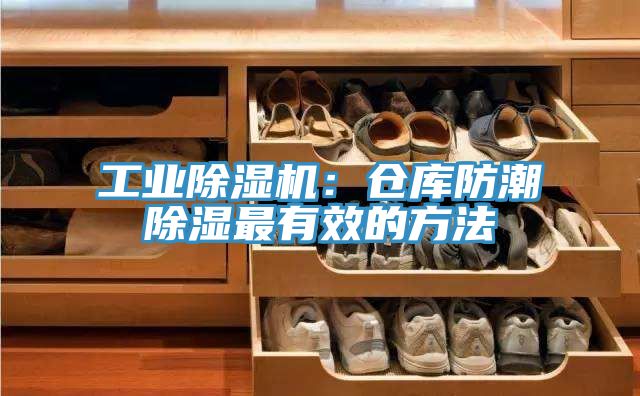 工業草莓视频污污污污：倉庫防潮除濕最有效的方法