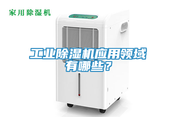 工業草莓视频污污污污應用領域有哪些？