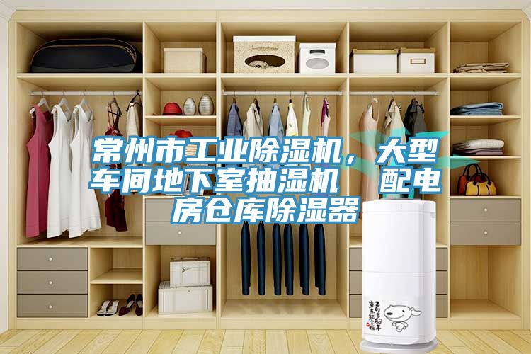 常州市工業草莓视频污污污污，大型車間地下室抽濕機  配電房倉庫除濕器
