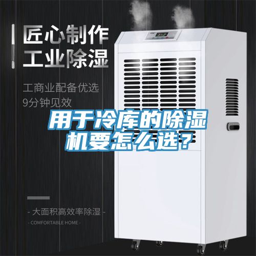 用於冷庫的草莓视频污污污污要怎麽選？