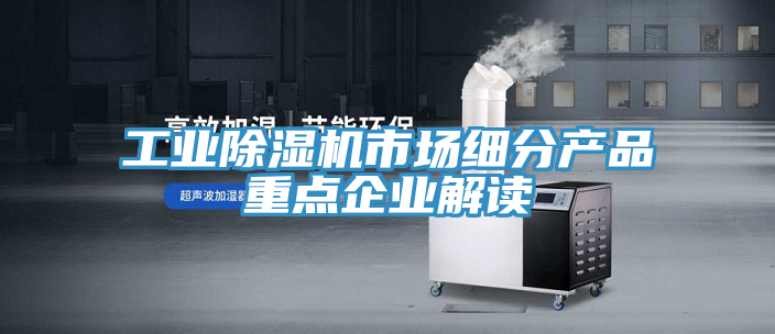 工業草莓视频污污污污市場細分產品重點企業解讀
