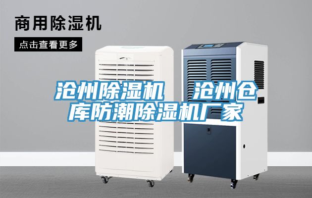 滄州草莓视频污污污污  滄州倉庫防潮草莓视频污污污污廠家