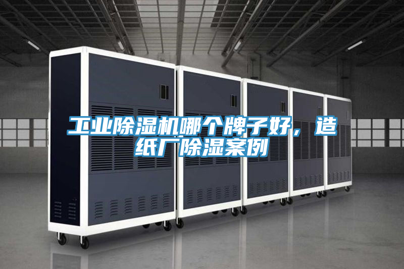 工業草莓视频污污污污哪個牌子好，造紙廠除濕案例