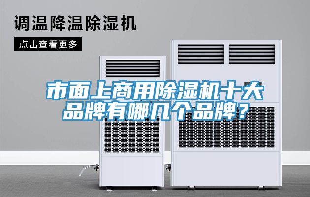 市麵上商用草莓视频污污污污十大品牌有哪幾個品牌？