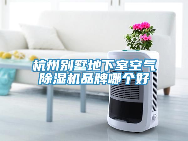 杭州別墅地下室空氣草莓视频污污污污品牌哪個好