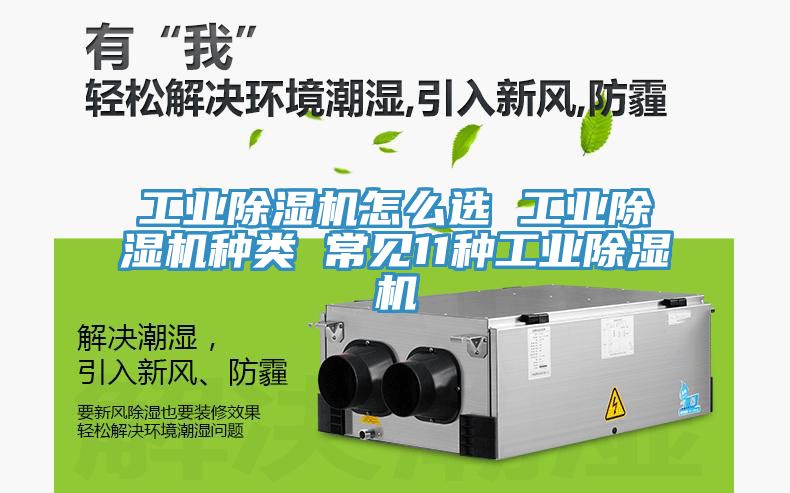 工業草莓视频污污污污怎麽選 工業草莓视频污污污污種類 常見11種工業草莓视频污污污污