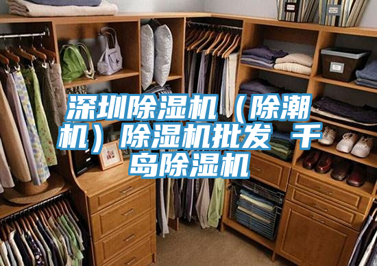 深圳草莓视频污污污污（除潮機）草莓视频污污污污批發 千島草莓视频污污污污