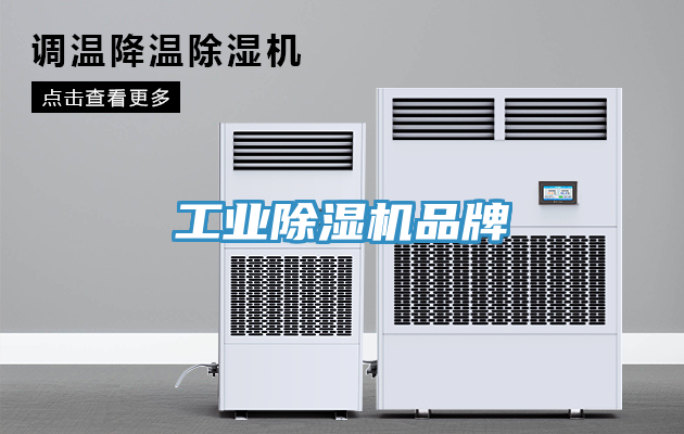 工業草莓视频污污污污品牌