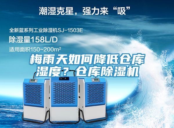 梅雨天如何降低倉庫濕度？倉庫草莓视频污污污污