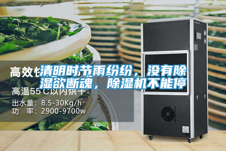 清明時節雨紛紛，沒有除濕欲斷魂，草莓视频污污污污不能停